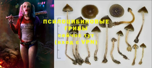 ECSTASY Майский