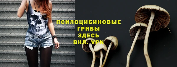 герыч Мегион
