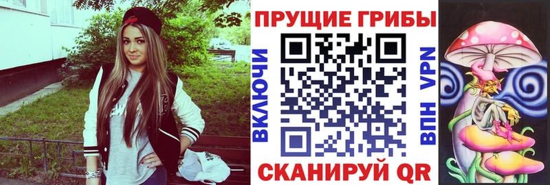 Псилоцибиновые грибы Psilocybine cubensis Зеленоградск